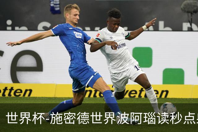 世界杯-施密德世界波阿瑙读秒点射破门 奥地利3-1约旦
